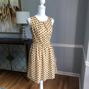 Pim + Larkin polka dot dress